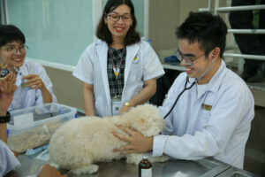 Những điều cần lưu ý khi xét học bạ ngành Thú y